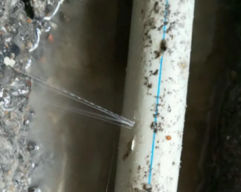 铁山港卫生间测漏水多少钱